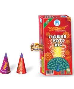 Flower Pots Big (10 Pcs)