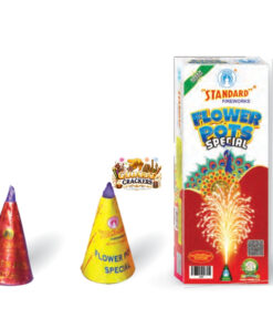 Flower Pots Special (10 Pcs)