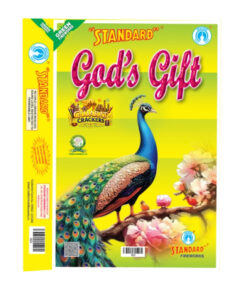 God's Gift (25 Items)